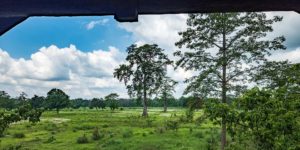 Overlooking the Bhata grasslands from a Machan in the Parsa National park in Nepal